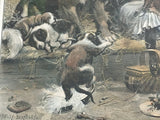 Antique Print of Girl & 8 Saint Bernard (or Bernese Mountain) Dogs “A Privileged Visitor” by Stanley Berkeley