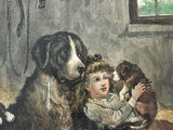 Antique Print of Girl & 8 Saint Bernard (or Bernese Mountain) Dogs “A Privileged Visitor” by Stanley Berkeley