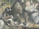 Antique Print of Girl & 8 Saint Bernard (or Bernese Mountain) Dogs “A Privileged Visitor” by Stanley Berkeley