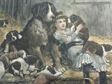 Antique Print of Girl & 8 Saint Bernard (or Bernese Mountain) Dogs “A Privileged Visitor” by Stanley Berkeley
